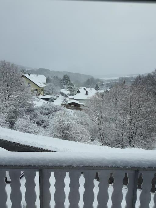 Holzhaus Chalet Nationalpark Eifel Hund Willkommen Hellenthal Dış mekan fotoğraf