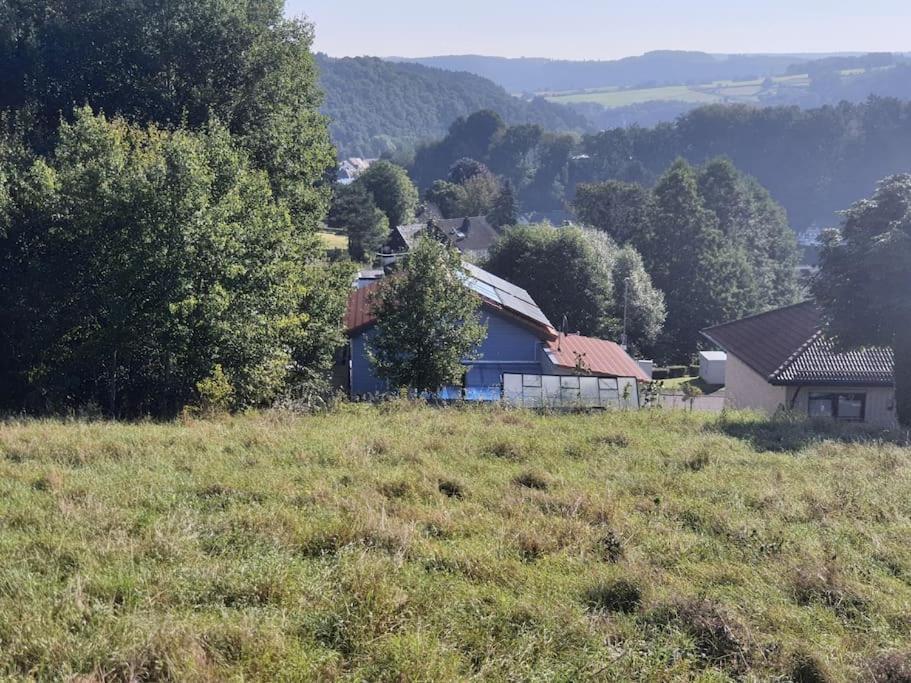 Holzhaus Chalet Nationalpark Eifel Hund Willkommen Hellenthal Dış mekan fotoğraf