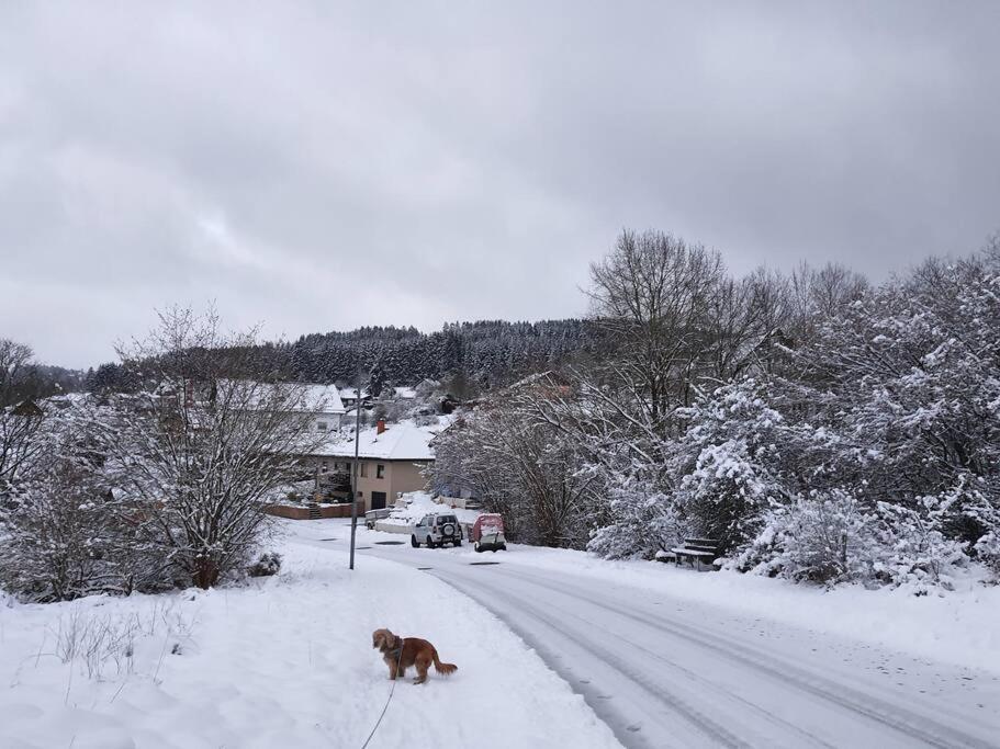 Holzhaus Chalet Nationalpark Eifel Hund Willkommen Hellenthal Dış mekan fotoğraf